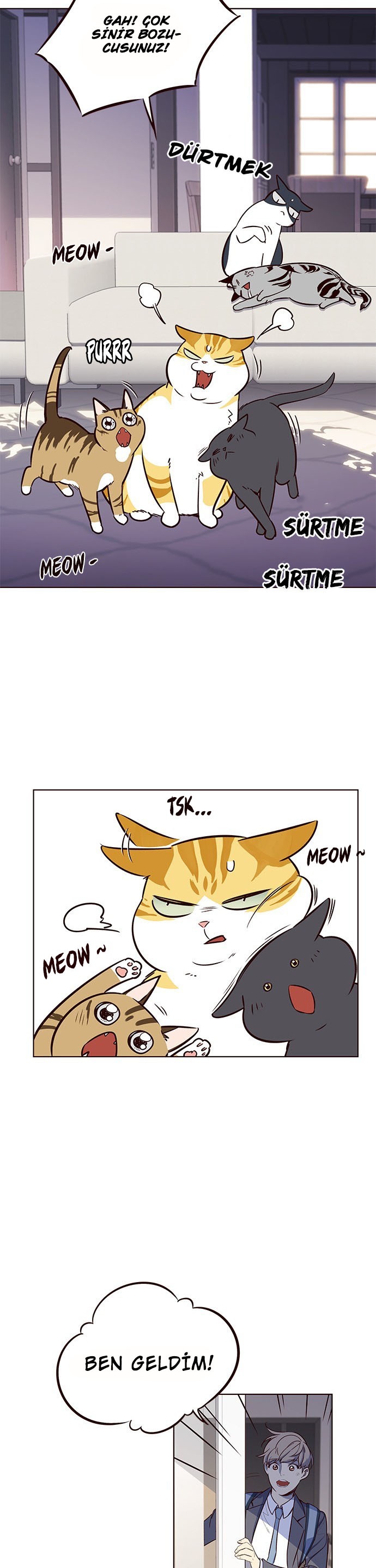 Read Eleceed TR Manga Online