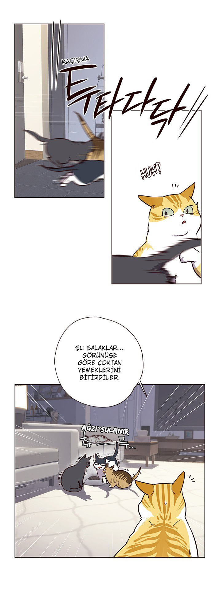 Read Eleceed TR Manga Online
