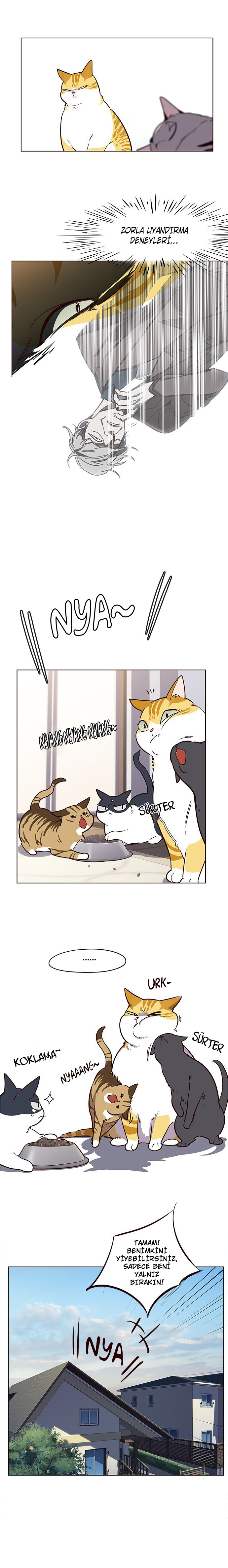 Read Eleceed TR Manga Online