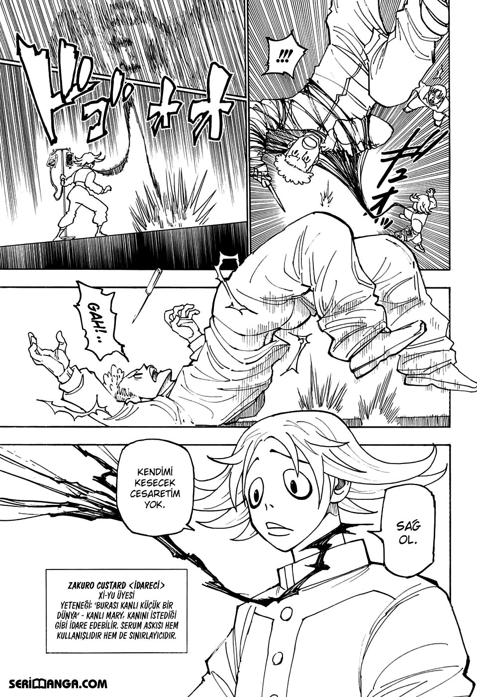 Read Hunter x Hunter TR Manga Online