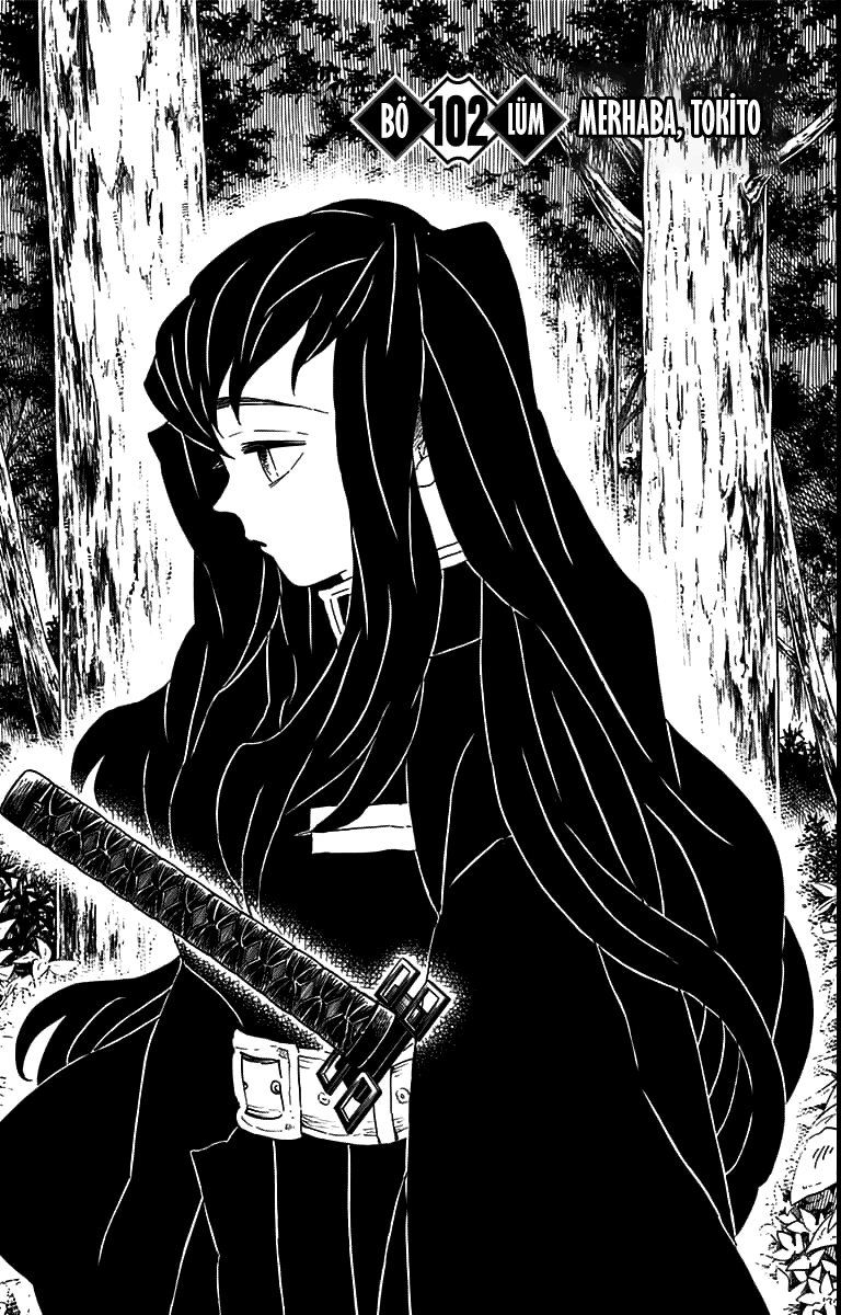 Read Kimetsu no Yaiba TR Manga Online