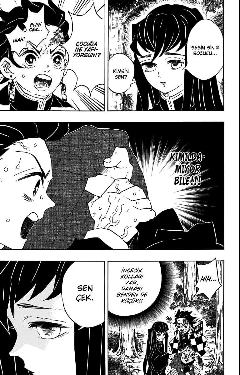 Read Kimetsu no Yaiba TR Manga Online