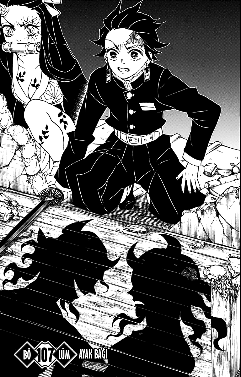 Read Kimetsu no Yaiba TR Manga Online