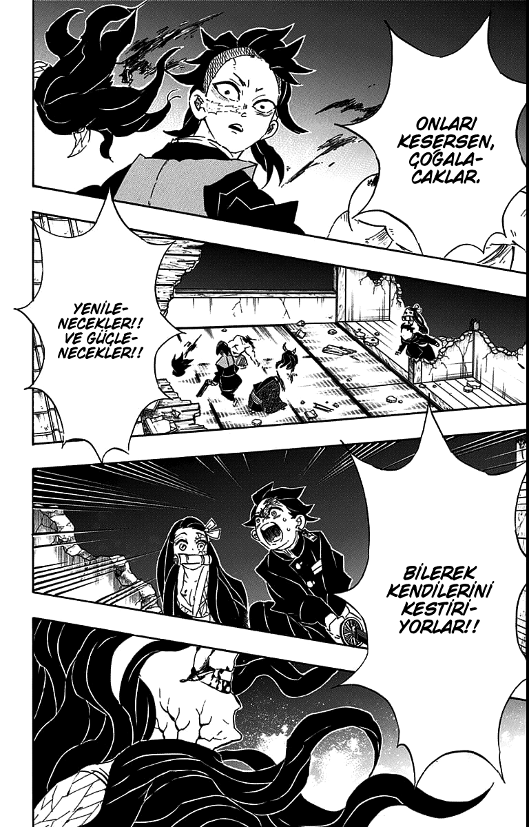 Read Kimetsu no Yaiba TR Manga Online