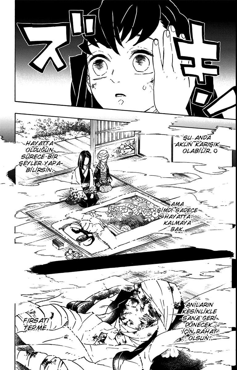 Read Kimetsu no Yaiba TR Manga Online