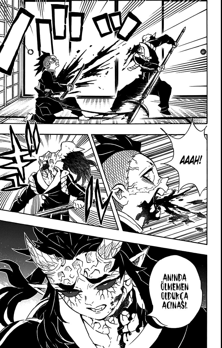Read Kimetsu no Yaiba TR Manga Online
