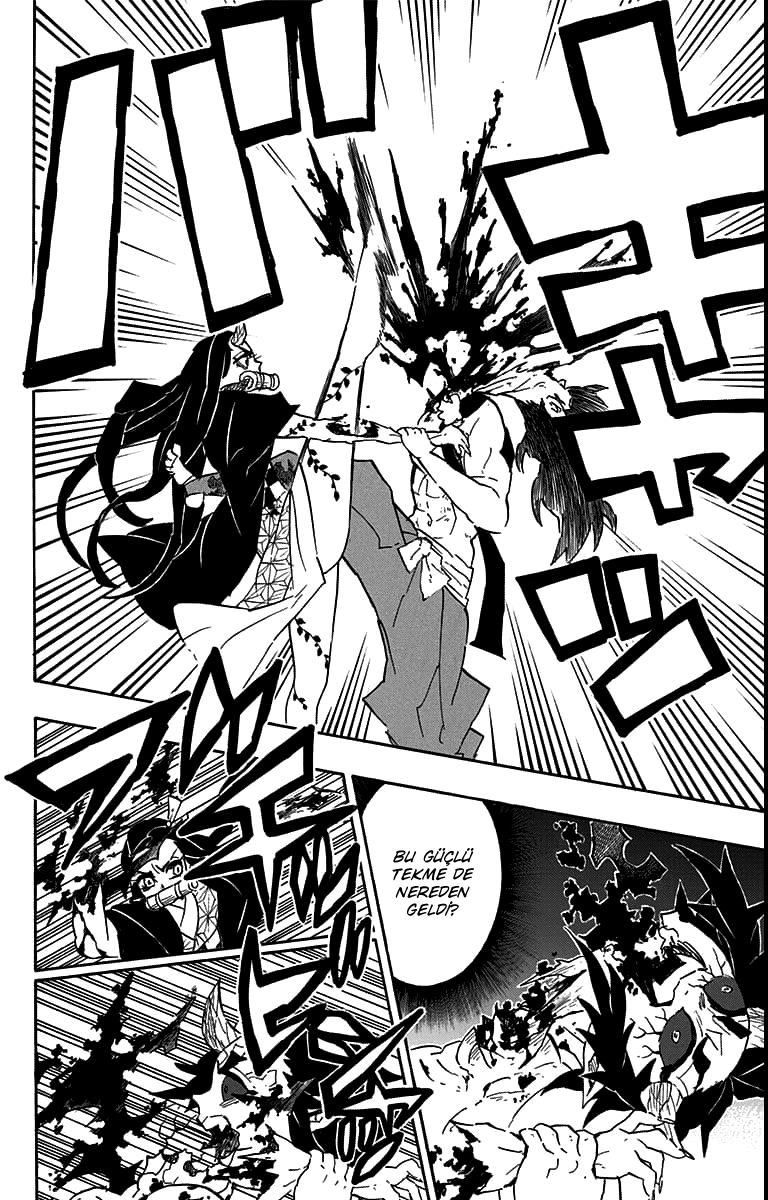 Read Kimetsu no Yaiba TR Manga Online