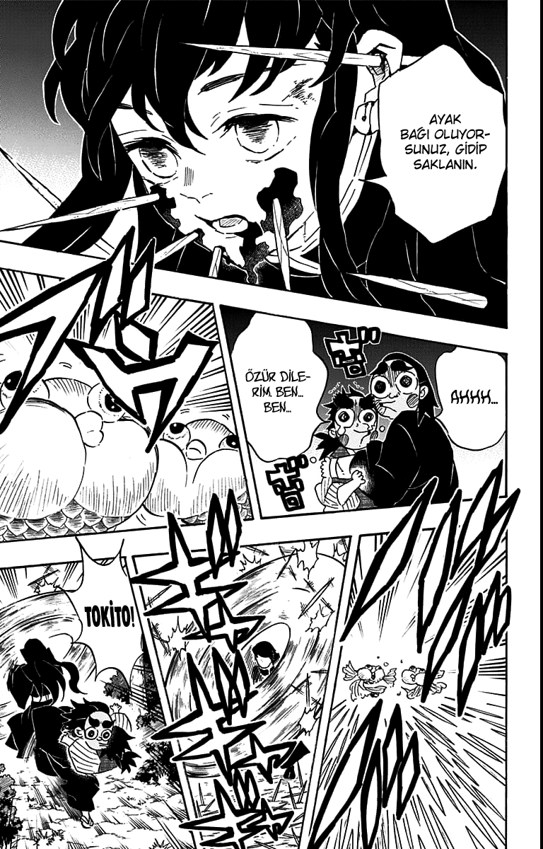 Read Kimetsu no Yaiba TR Manga Online