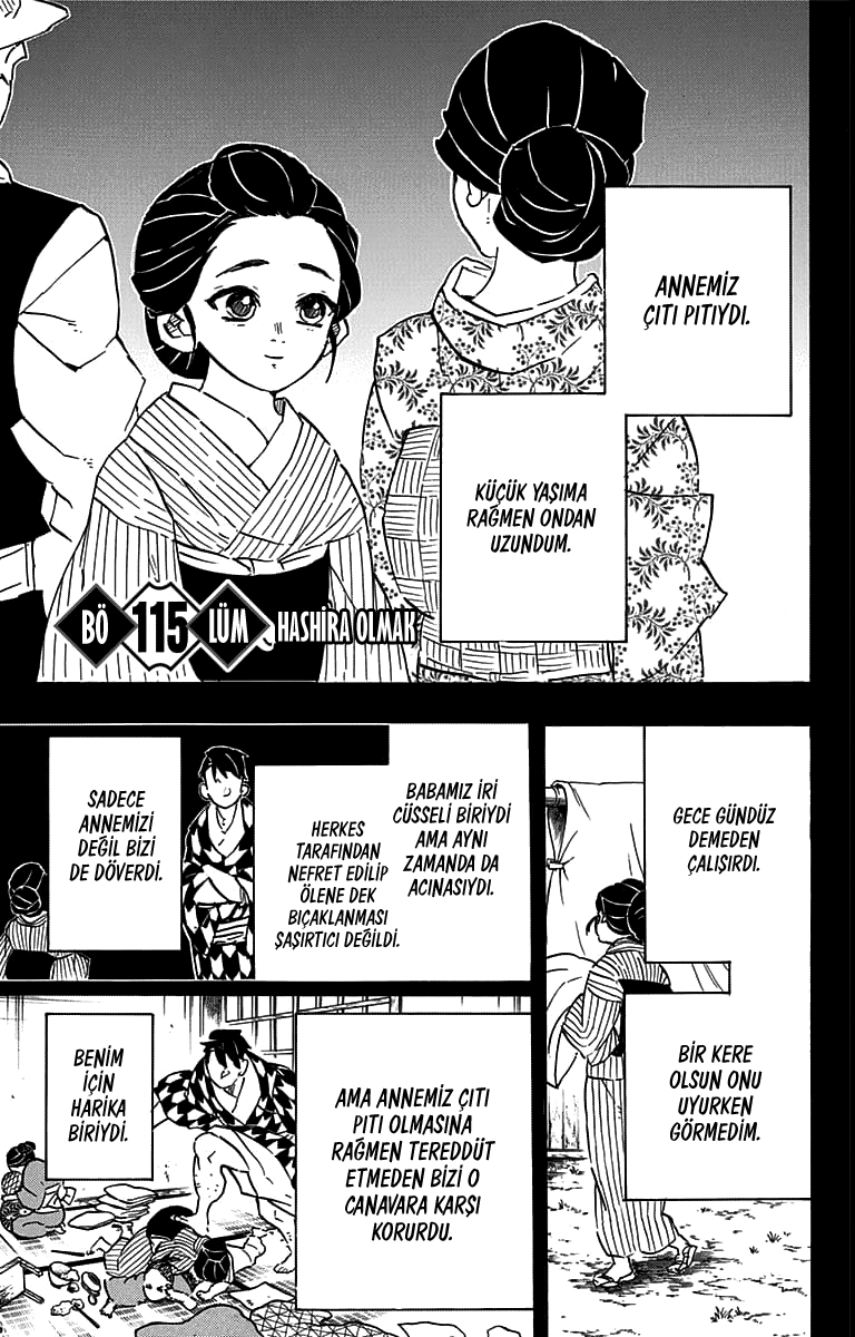 Read Kimetsu no Yaiba TR Manga Online