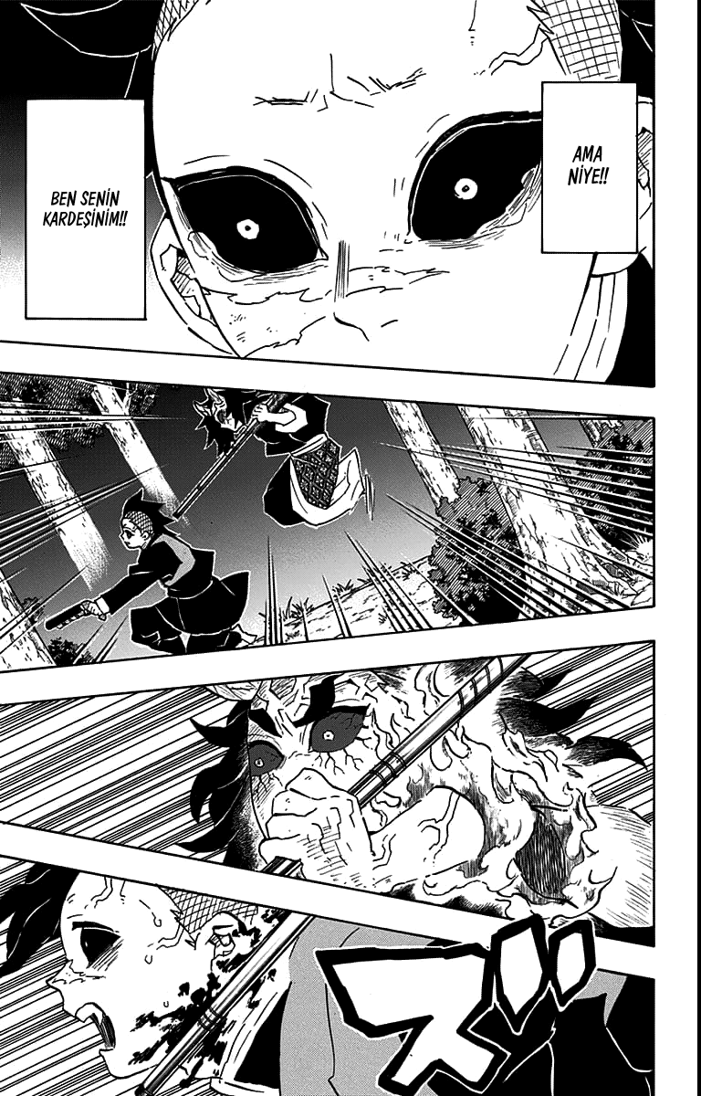 Read Kimetsu no Yaiba TR Manga Online