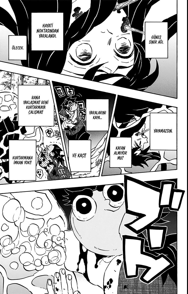 Read Kimetsu no Yaiba TR Manga Online