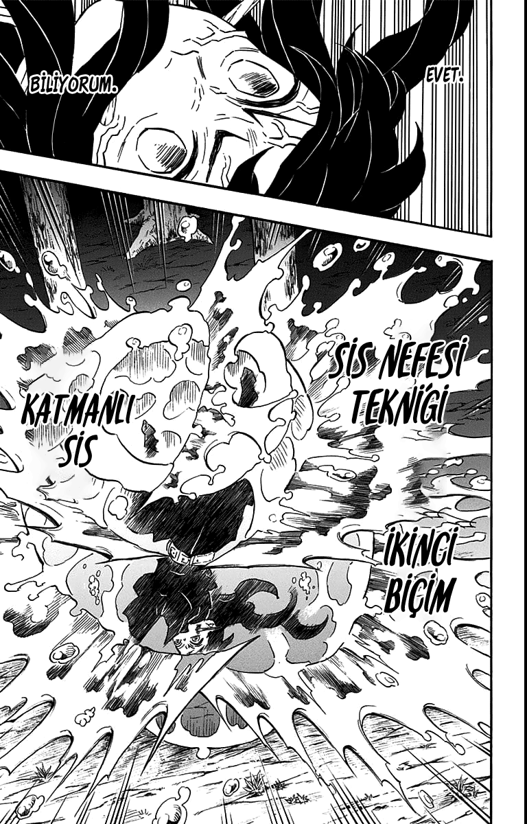 Read Kimetsu no Yaiba TR Manga Online