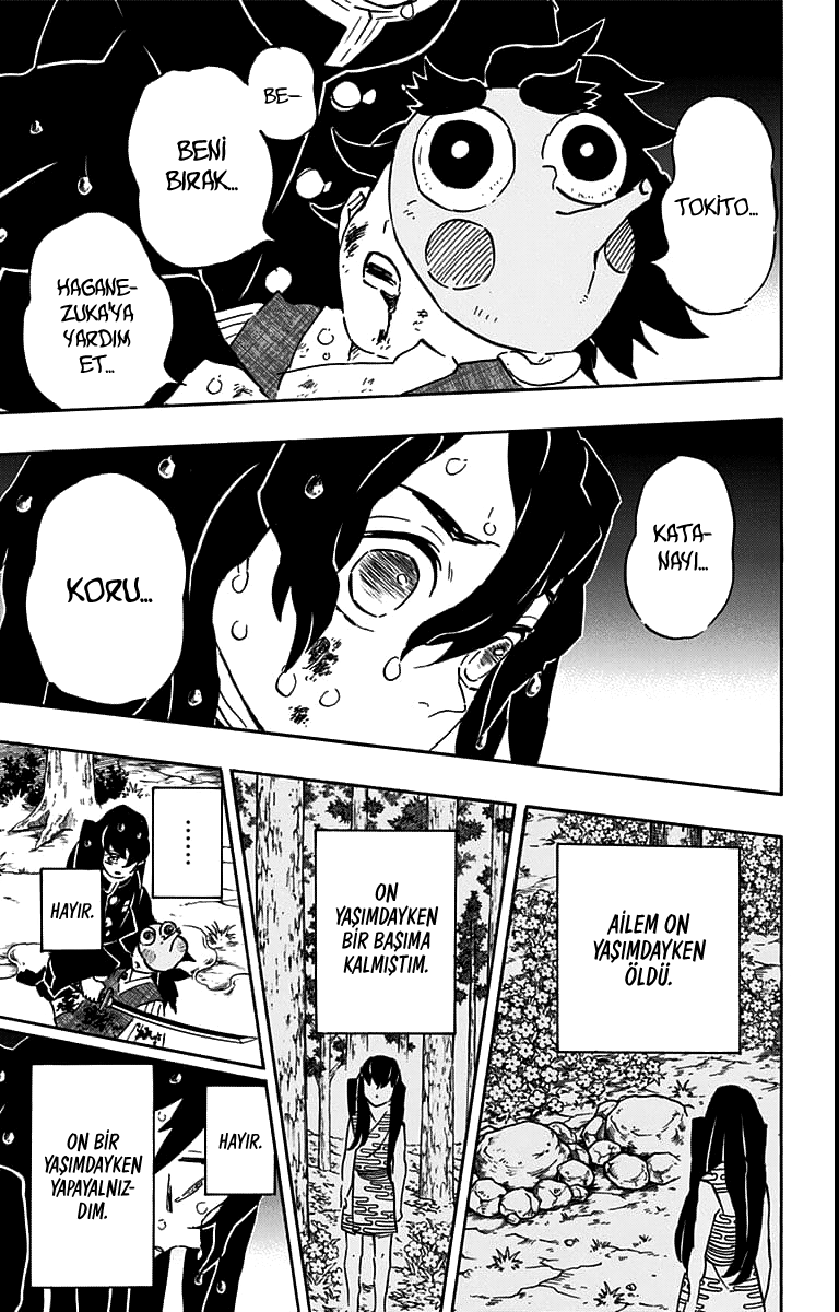 Read Kimetsu no Yaiba TR Manga Online