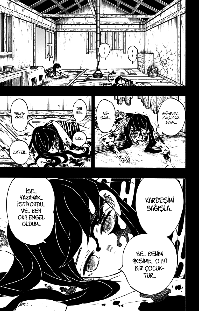 Read Kimetsu no Yaiba TR Manga Online