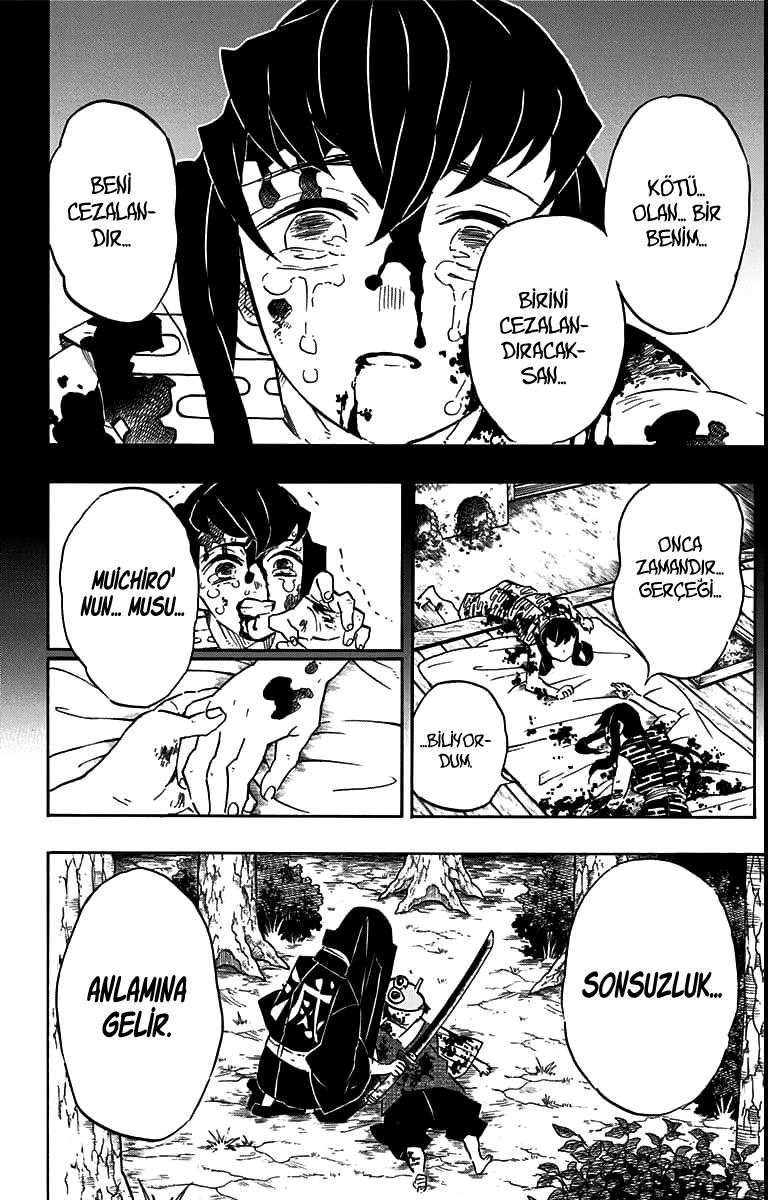 Read Kimetsu no Yaiba TR Manga Online