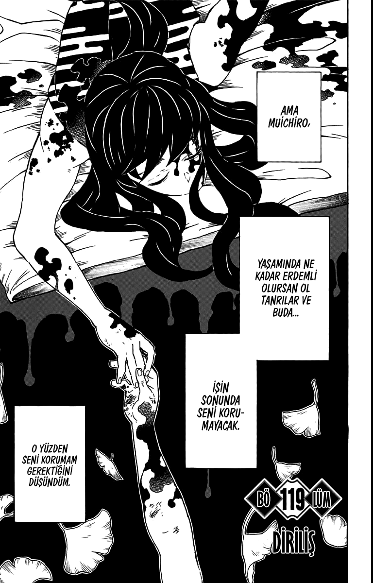 Read Kimetsu no Yaiba TR Manga Online