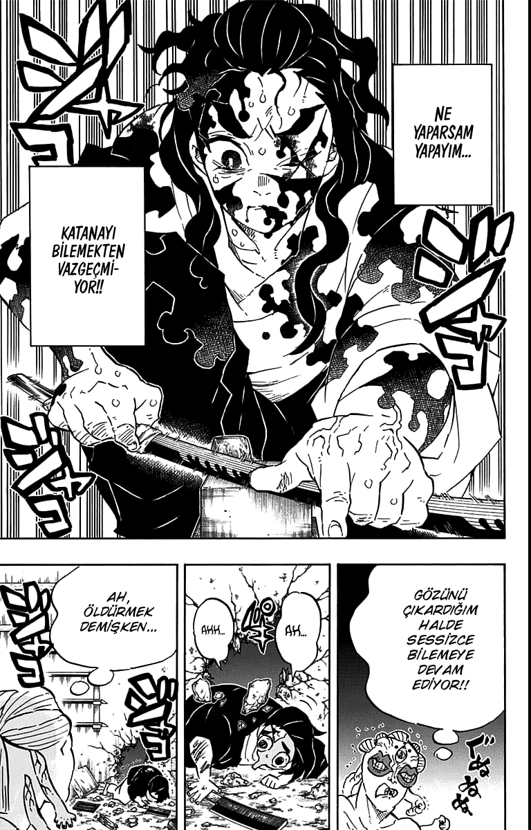 Read Kimetsu no Yaiba TR Manga Online