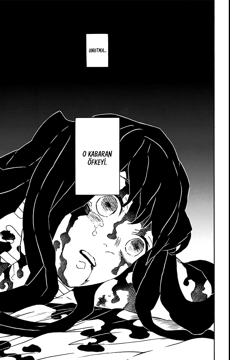 Read Kimetsu no Yaiba TR Manga Online
