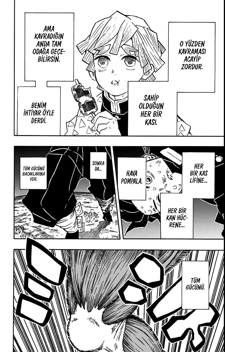 Read Kimetsu no Yaiba TR Manga Online