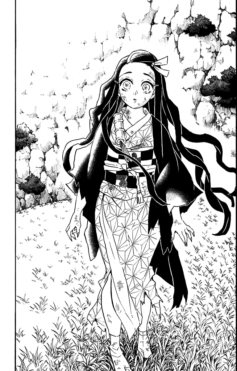 Read Kimetsu no Yaiba TR Manga Online