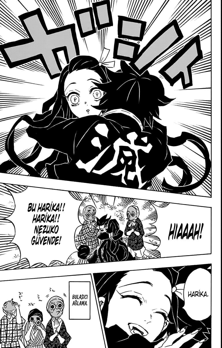 Read Kimetsu no Yaiba TR Manga Online