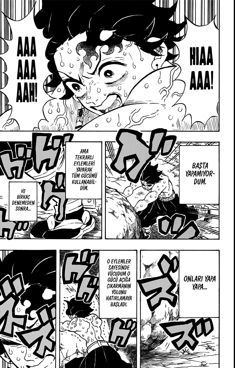 Read Kimetsu no Yaiba TR Manga Online