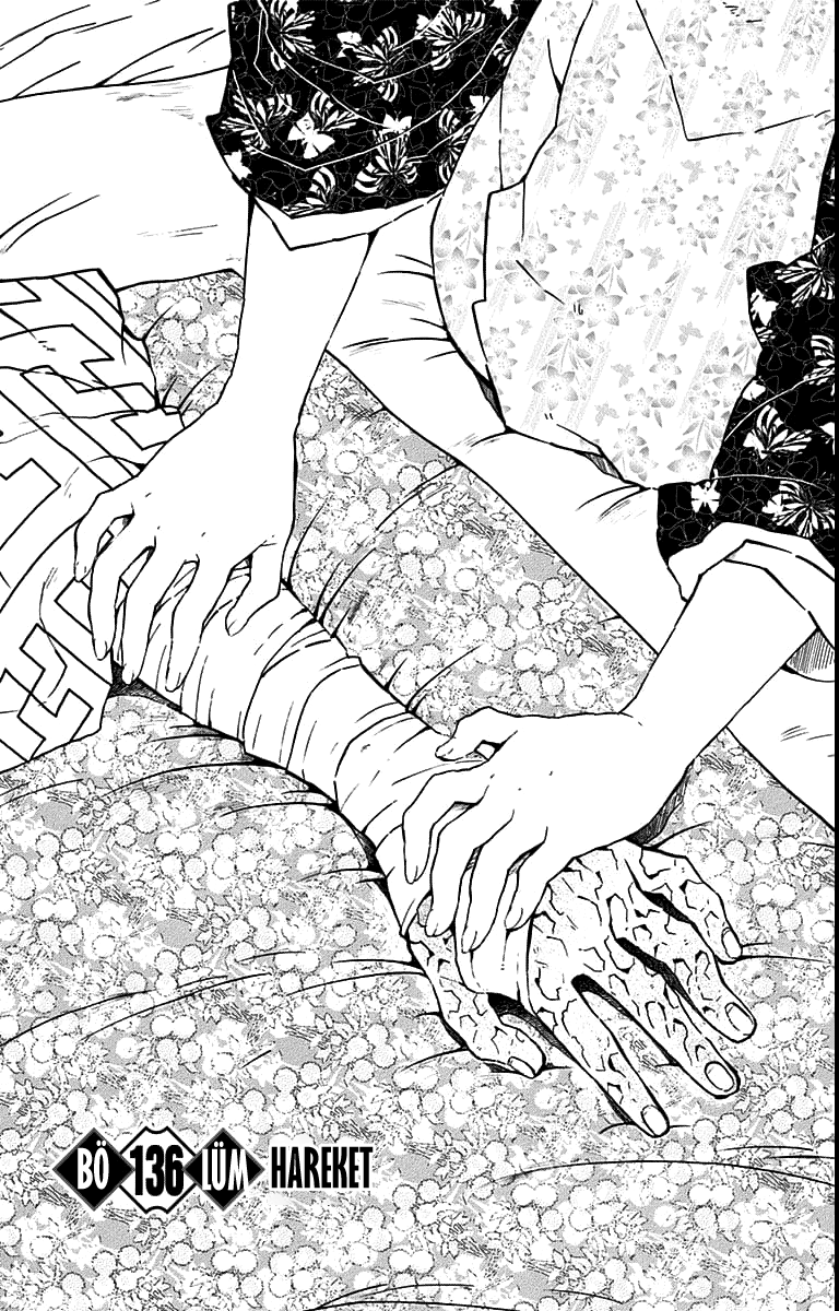 Read Kimetsu no Yaiba TR Manga Online