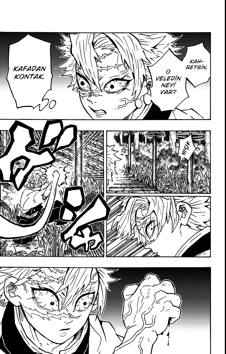 Read Kimetsu no Yaiba TR Manga Online