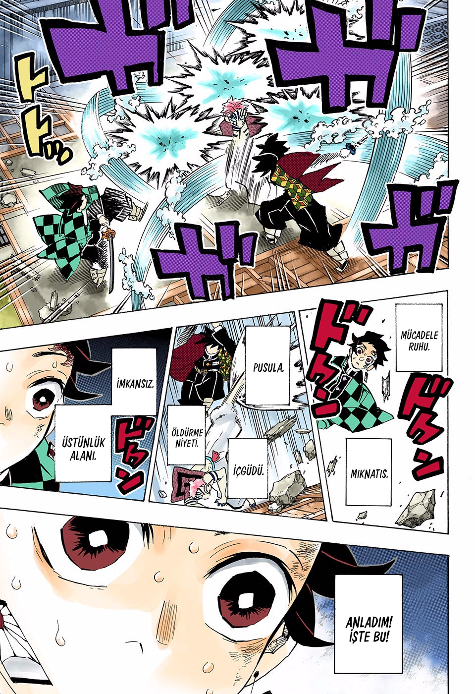 Read Kimetsu no Yaiba TR Manga Online