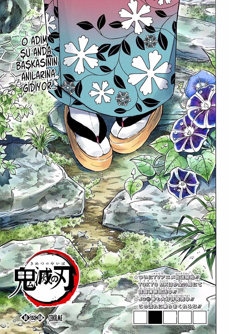 Read Kimetsu no Yaiba TR Manga Online