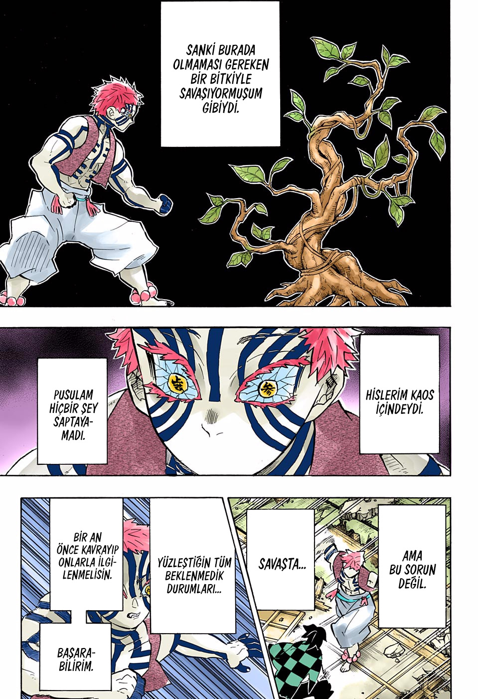 Read Kimetsu no Yaiba TR Manga Online