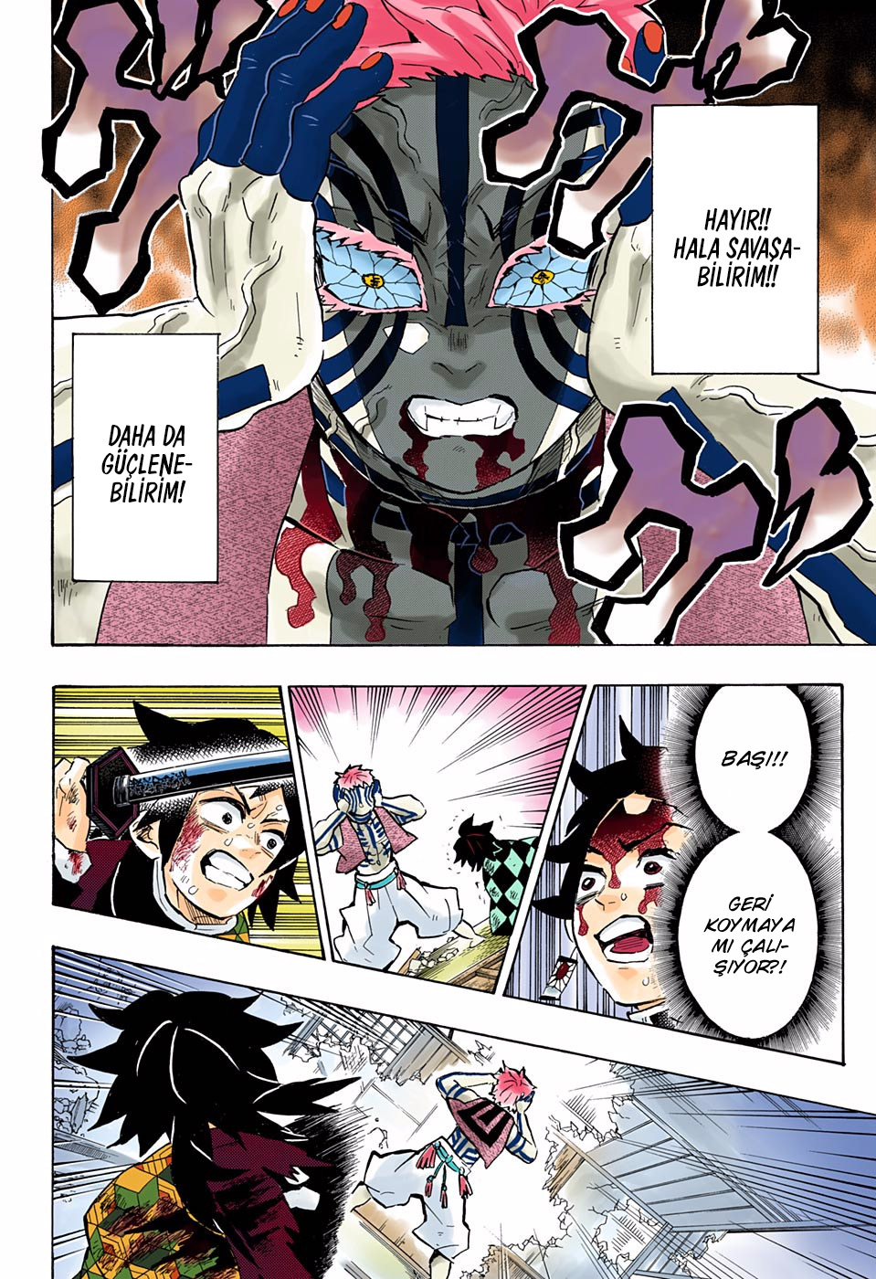 Read Kimetsu no Yaiba TR Manga Online
