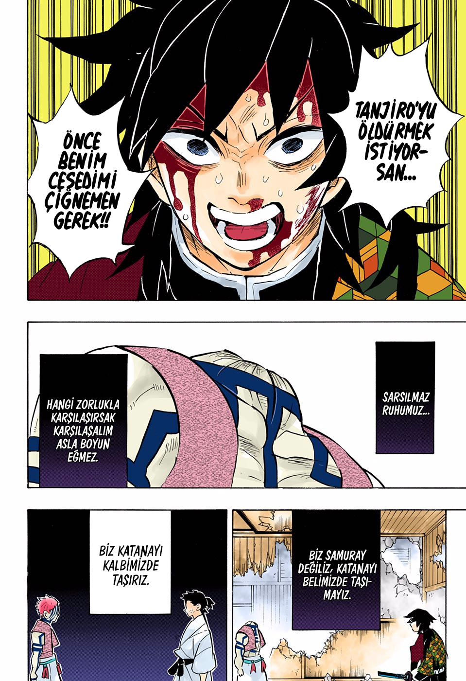 Read Kimetsu no Yaiba TR Manga Online