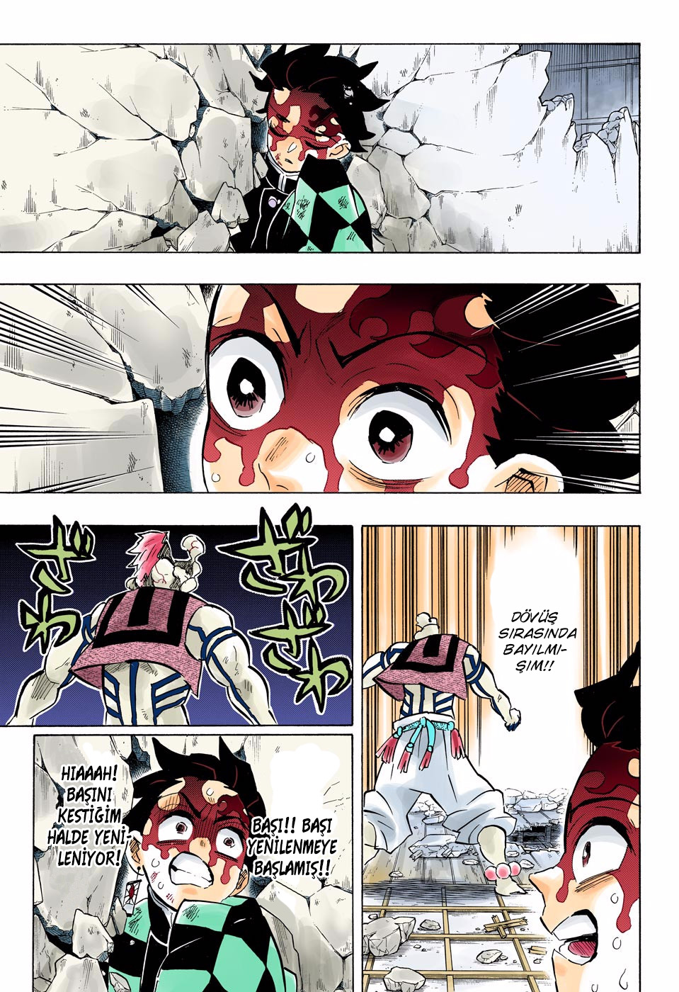 Read Kimetsu no Yaiba TR Manga Online