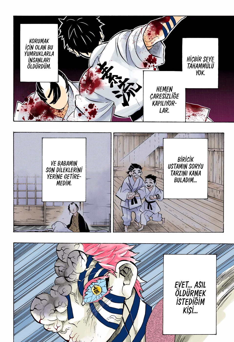 Read Kimetsu no Yaiba TR Manga Online
