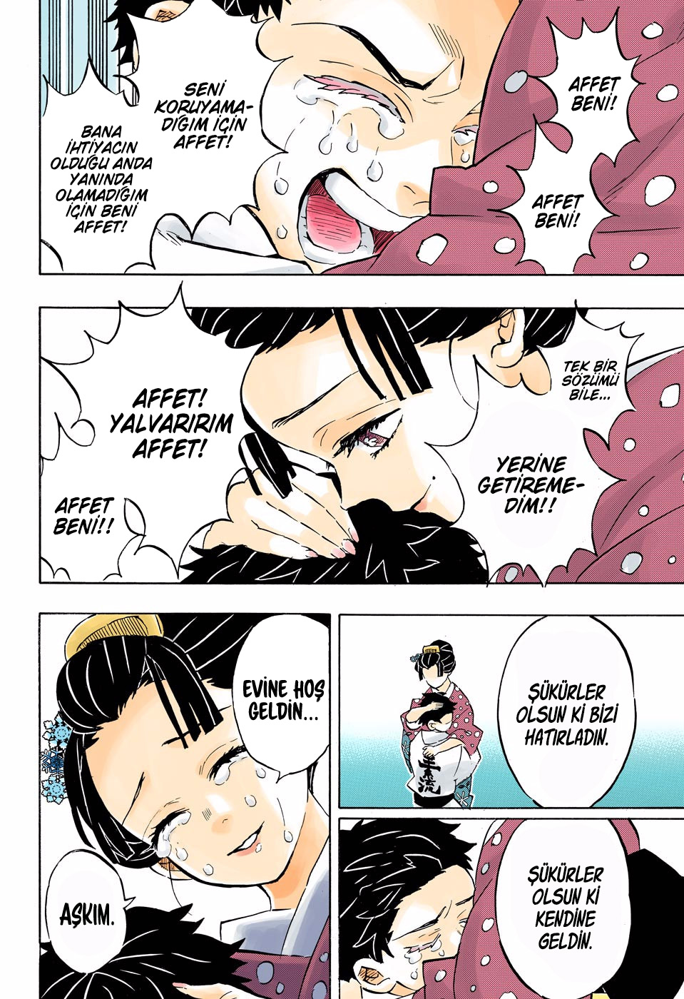 Read Kimetsu no Yaiba TR Manga Online