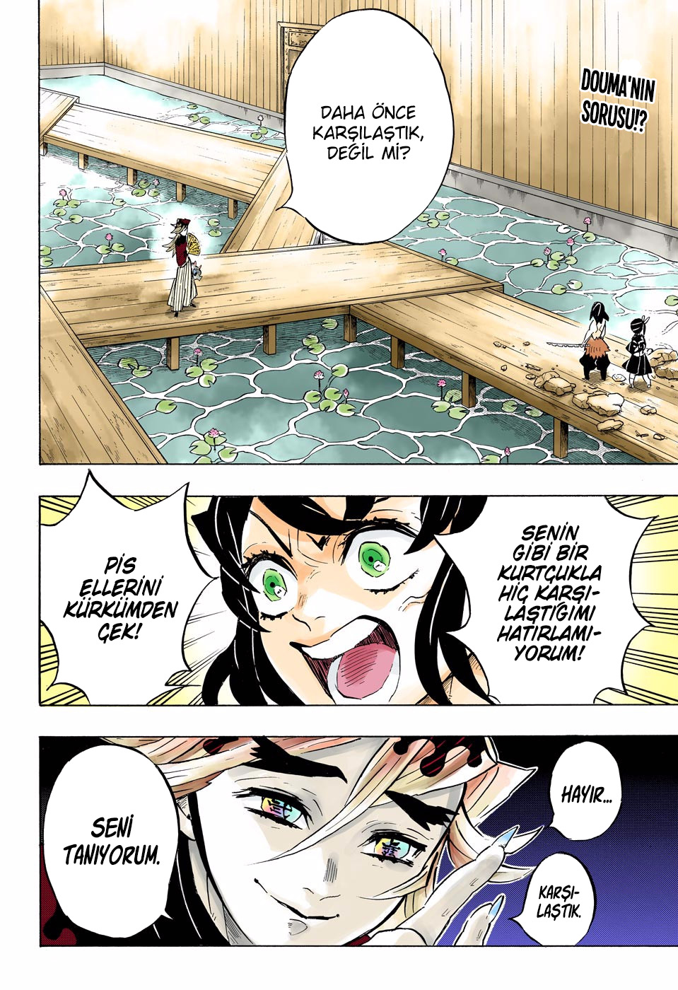 Read Kimetsu no Yaiba TR Manga Online
