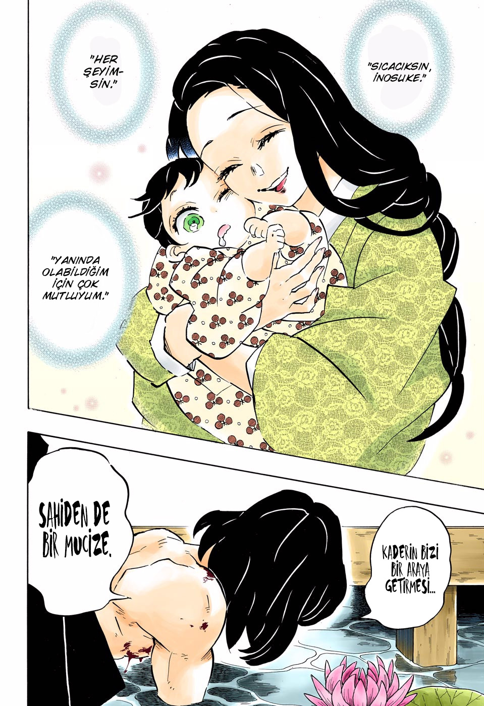 Read Kimetsu no Yaiba TR Manga Online
