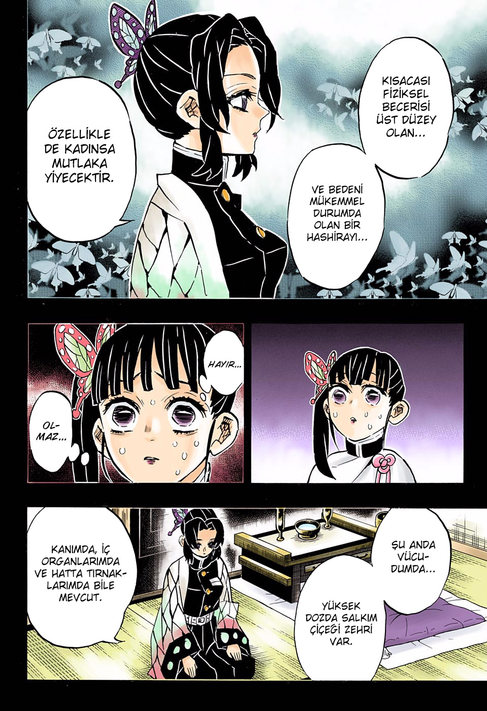 Read Kimetsu no Yaiba TR Manga Online