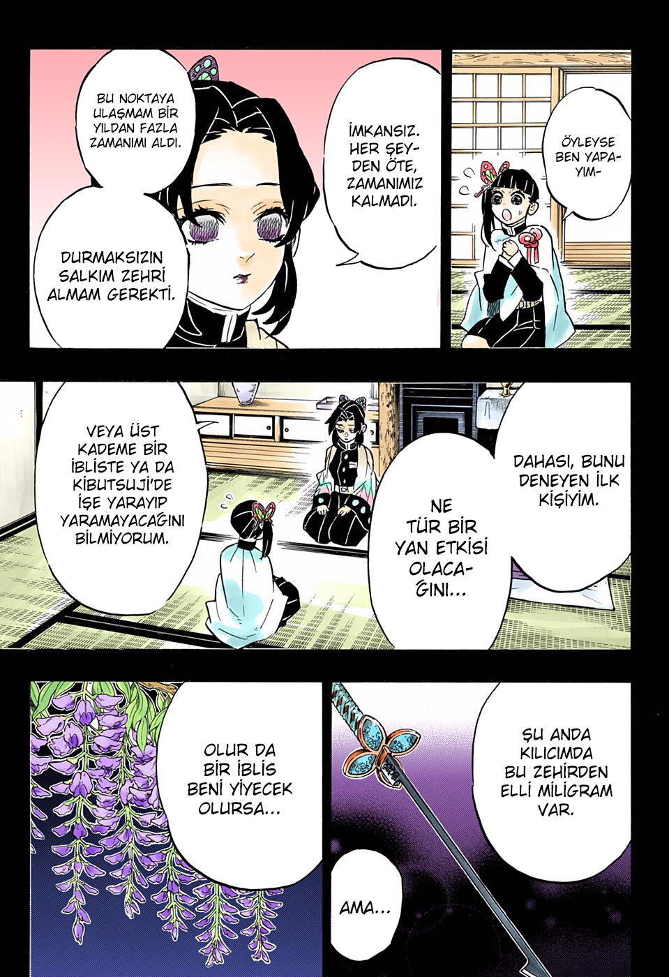 Read Kimetsu no Yaiba TR Manga Online