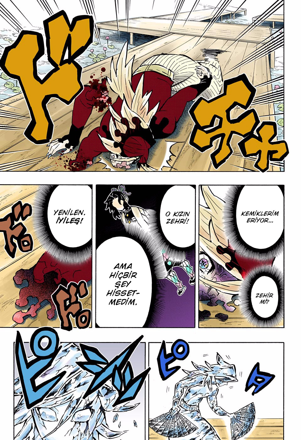 Read Kimetsu no Yaiba TR Manga Online