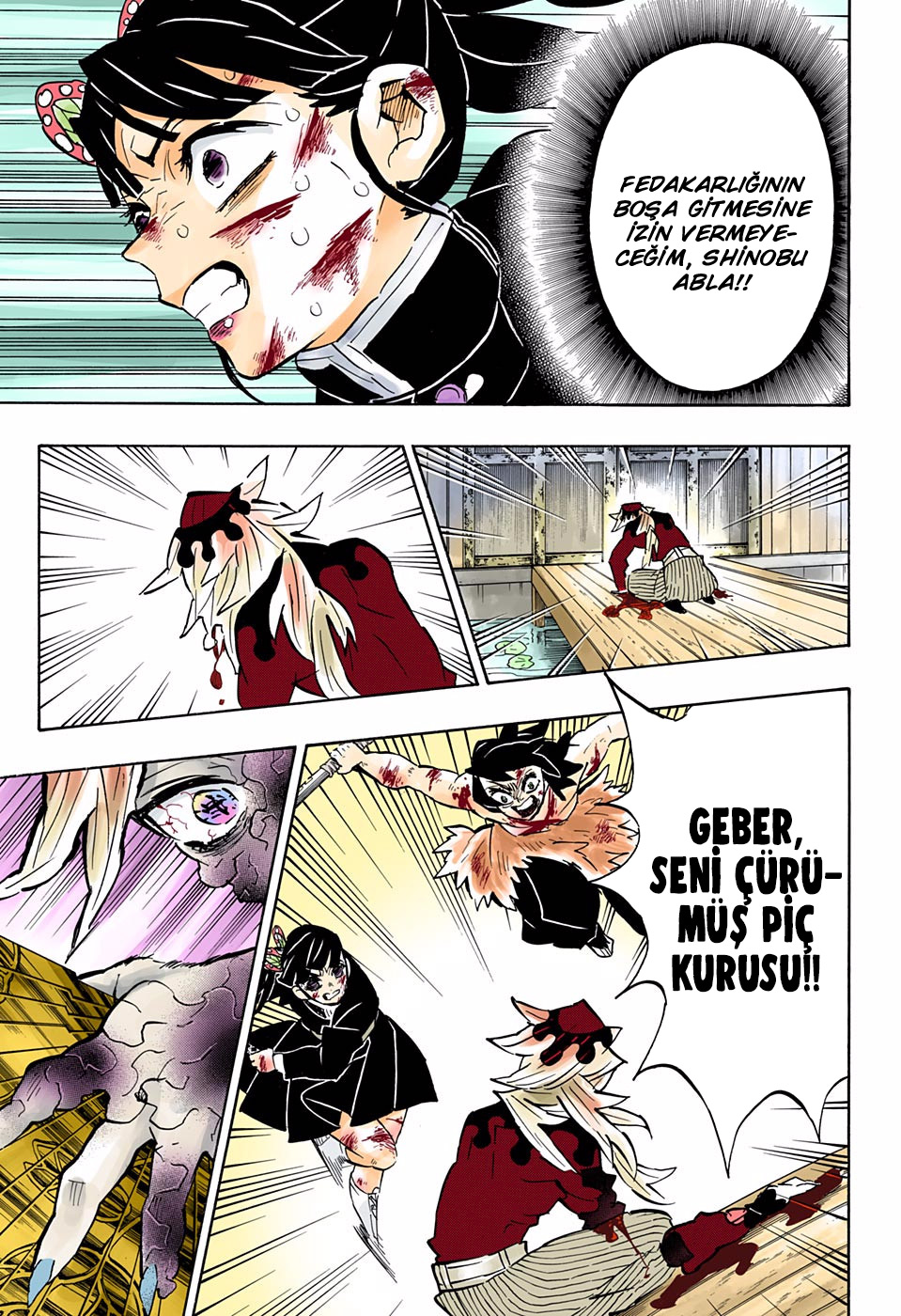 Read Kimetsu no Yaiba TR Manga Online