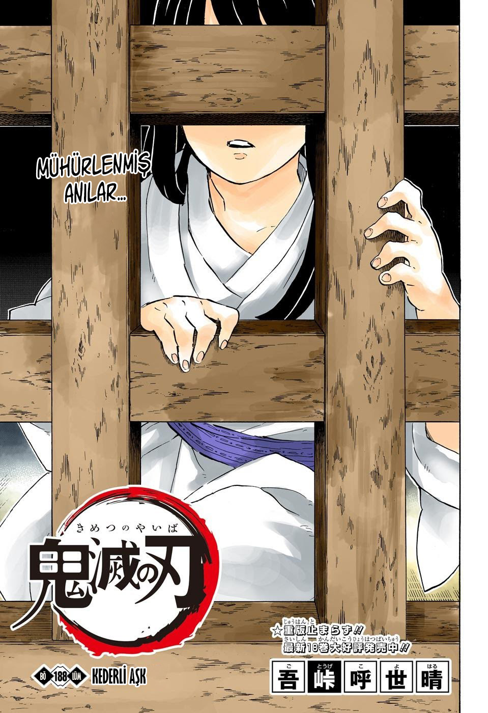 Read Kimetsu no Yaiba TR Manga Online