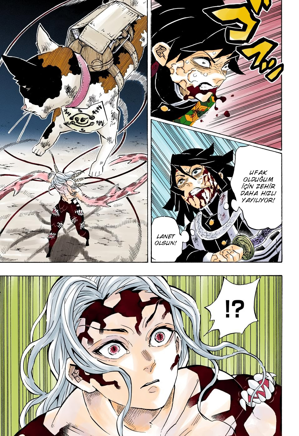 Read Kimetsu no Yaiba TR Manga Online