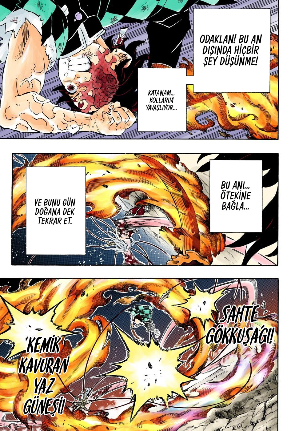 Read Kimetsu no Yaiba TR Manga Online