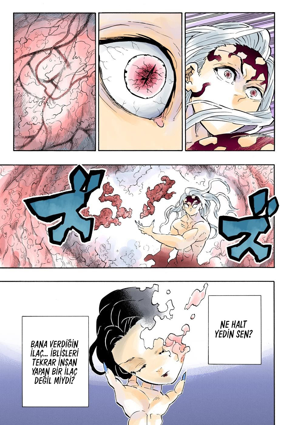 Read Kimetsu no Yaiba TR Manga Online