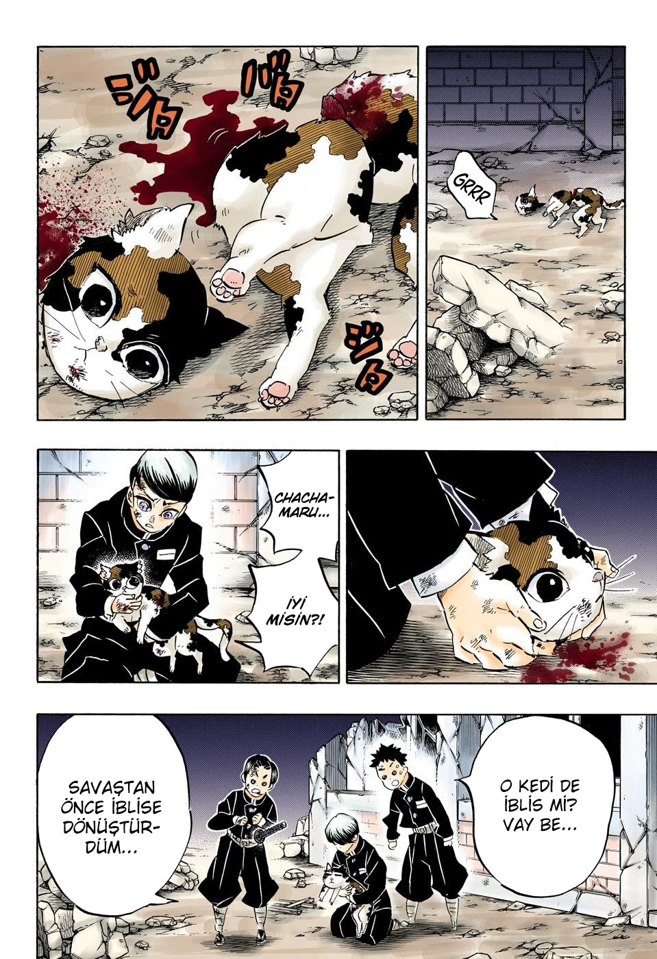 Read Kimetsu no Yaiba TR Manga Online