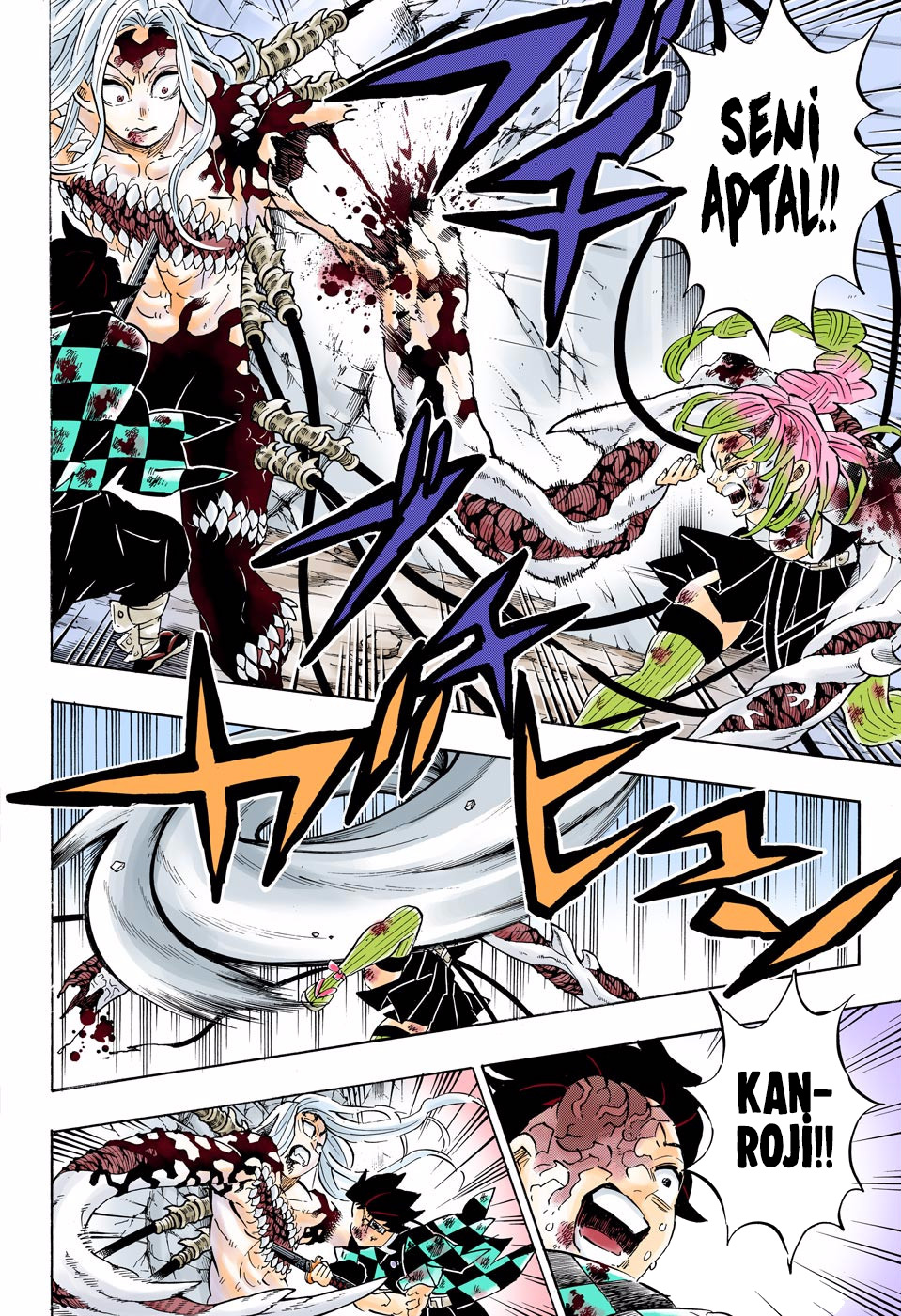 Read Kimetsu no Yaiba TR Manga Online