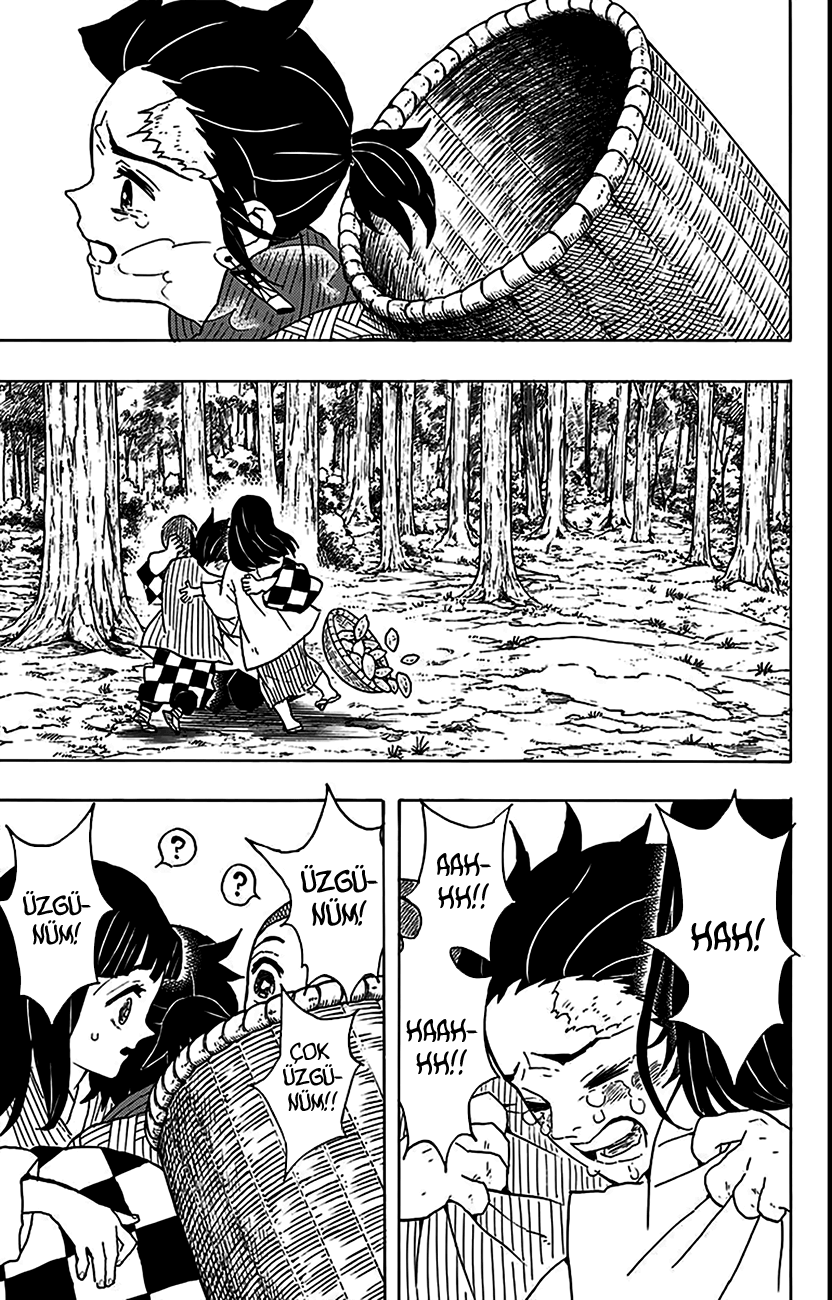 Read Kimetsu no Yaiba TR Manga Online