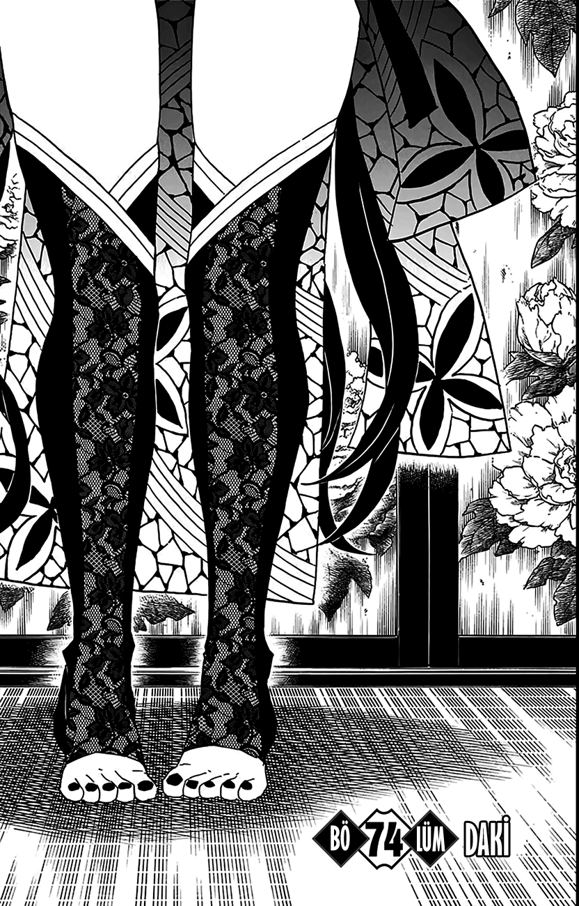 Read Kimetsu no Yaiba TR Manga Online